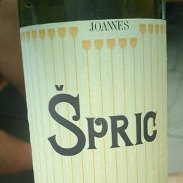 Joannes SPRIC